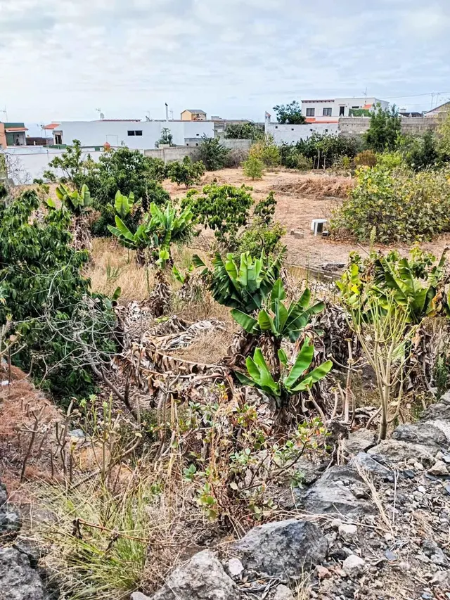 Terreno urbano de 2.500 m2 en Icod de los Vinos | oportunidad para inversores — 17