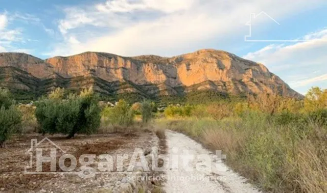 ÁTICO REFORMADO CON TERRAZA Y VISTAS DESPEJADAS AL MONTGÓ — 45