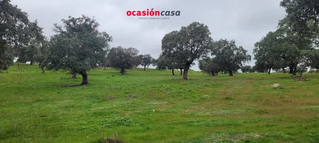 PARCELA RÚSTICA EN PEDROCHE — 3