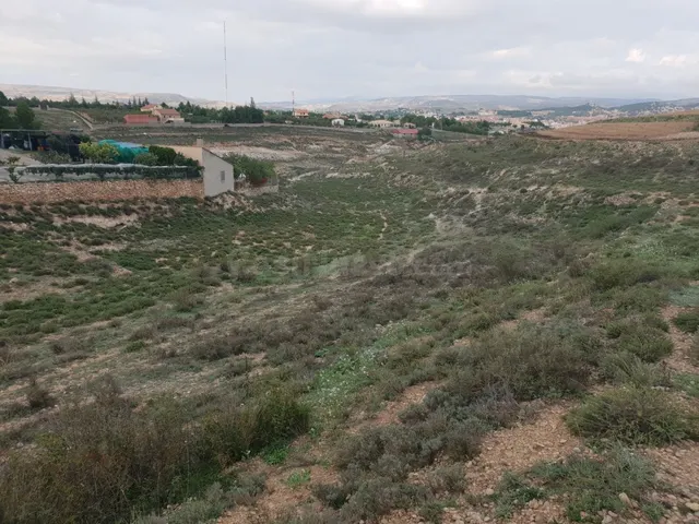 TERRENO RÚSTICO DE 6400 M2, EN PARTIDA DE LA MUELA. - foto 3