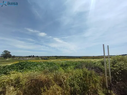 VENTA DE SUELO URBANIZABLE EN ALOSNO, HUELVA.