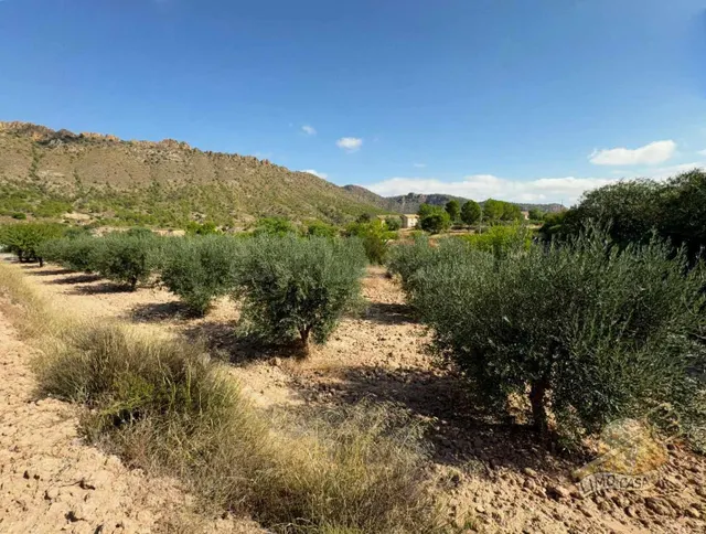 Parcela 99m² en venta - Ricote - foto 3