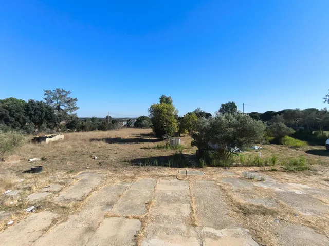 Finca Rústica en Gibraleón en la zona de la calvilla — 17
