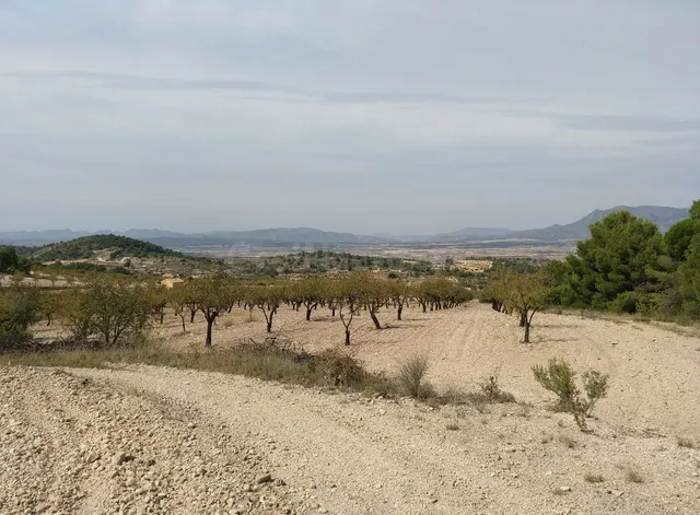 Parcela en venta - Abanilla
