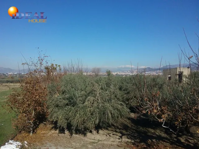 OLIVAR EN LA ZUBIA DE 3.597 M2 — 13