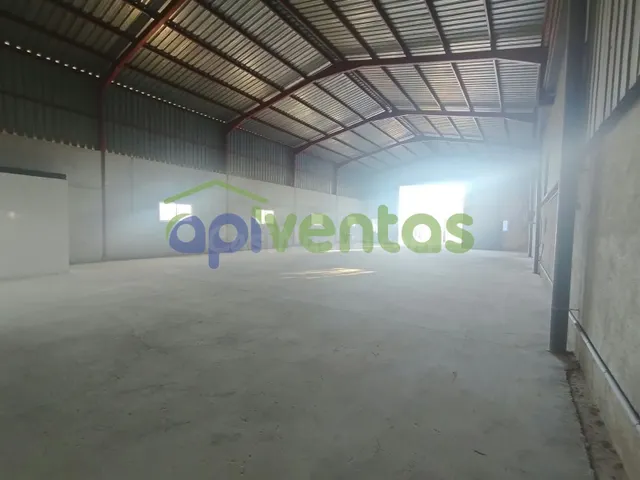 Nave-Almacén de 300 metros en pedanía de Purias - foto 3