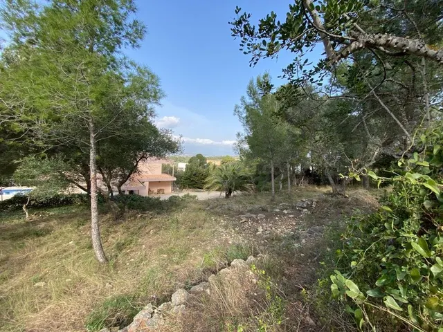 Parcela en venta - Mig Camí - foto 2