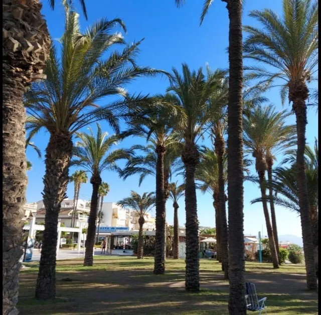 ¡ESPECTACULAR PISO CON TERRAZA Y VISTAS AL MAR EN SANTANGELO SUR! — 29