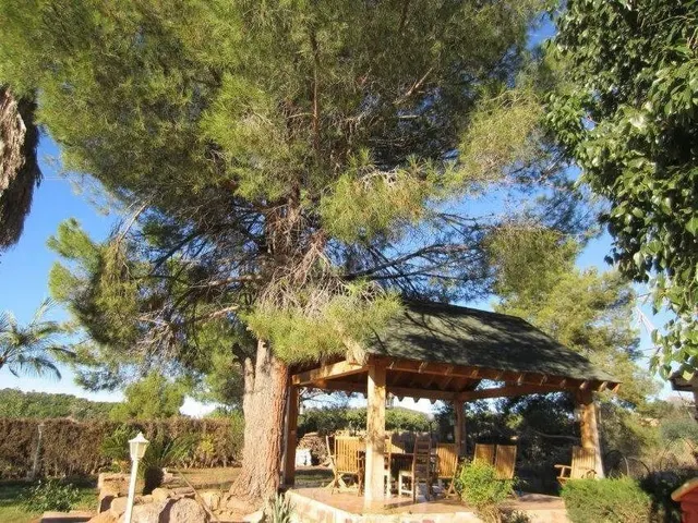 Casa independiente en Monasterios - foto 3