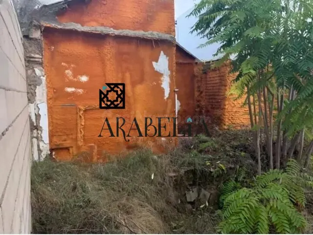 ¡CONSTRUYE LA CASA DE TUS SUEÑOS EN CAÑERO: SIN ESPERAS NI S - foto 4