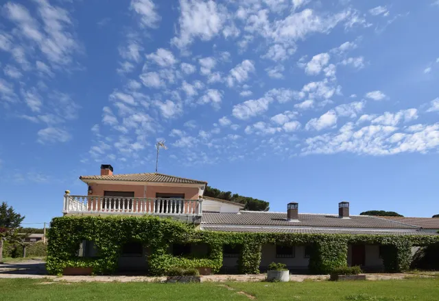 Gran finca con vivienda y merendero en Puente Duero — 10