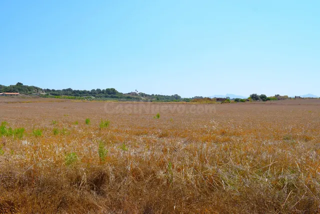 Finca rústica con posibilidad de construir una vivienda en S - foto 3