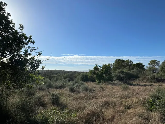 FINCA RUSTICA COSTITX