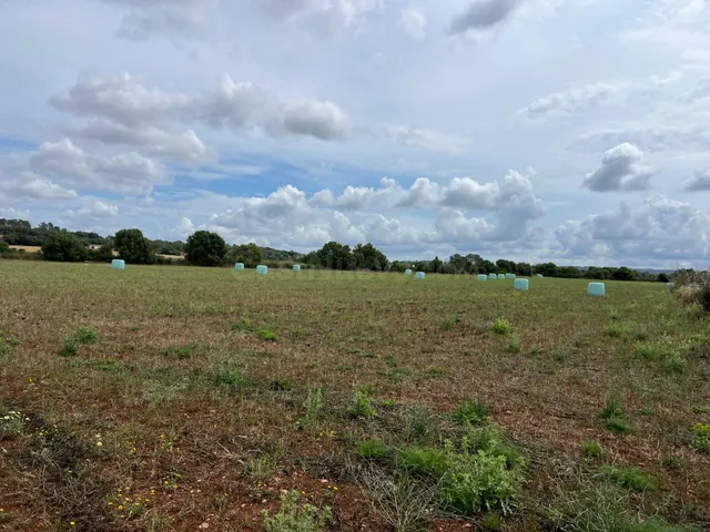 Terreno en Sencelles