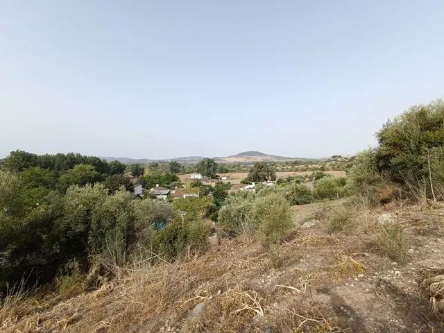 VENTA PARCELA ALREDEDORES DE EL BOSQUE