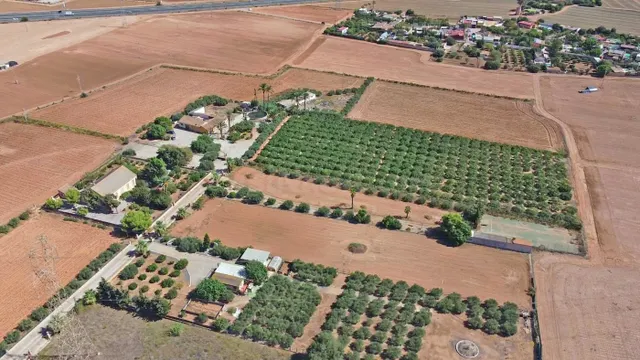 FINCA DE 37.000 M2 CON 3 VIVIENDAS DE MAS DE 700 M2 - foto 3