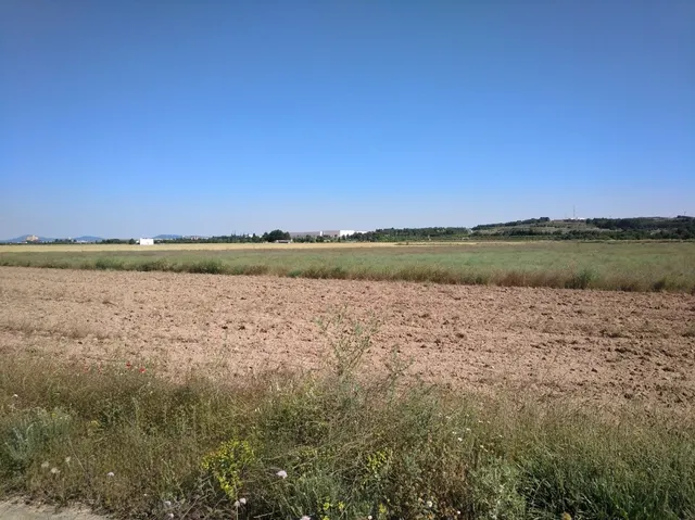 PARCELA DE 22.400 M2 EN PARAJE "EL RUBIAL" — 2
