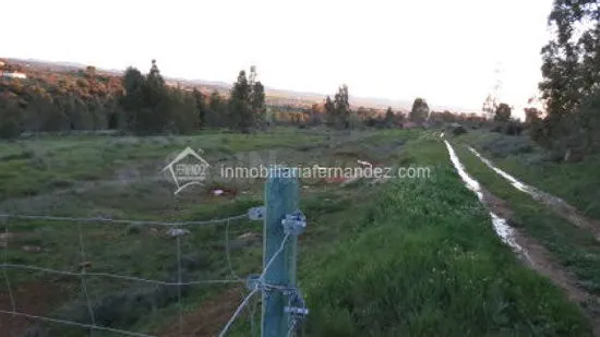 OPORTUNIDAD!! Parcela de 2500m2 totalmente vallada en ARROPE - foto 4