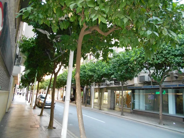 Se alquila oficina en zona Catedral — 13