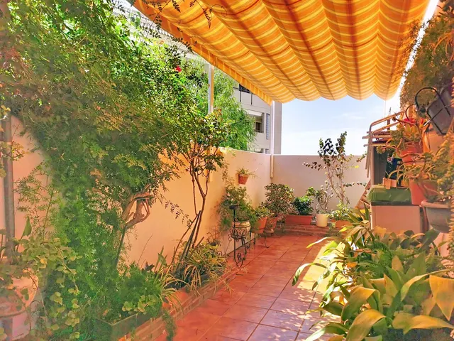 Adosado 3 habitaciones 224m² en venta - Centro — 21