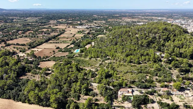 Terreno rústico de 10.000m2 en son quetlles, Felanitx — 9