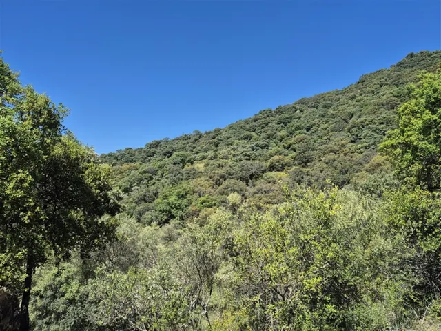 Casa de campo-Masía en Venta en Atajate Málaga - foto 5