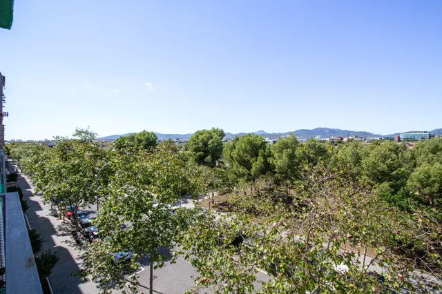Amplio piso familiar con terraza, parking y trastero en Son Cladera — 27