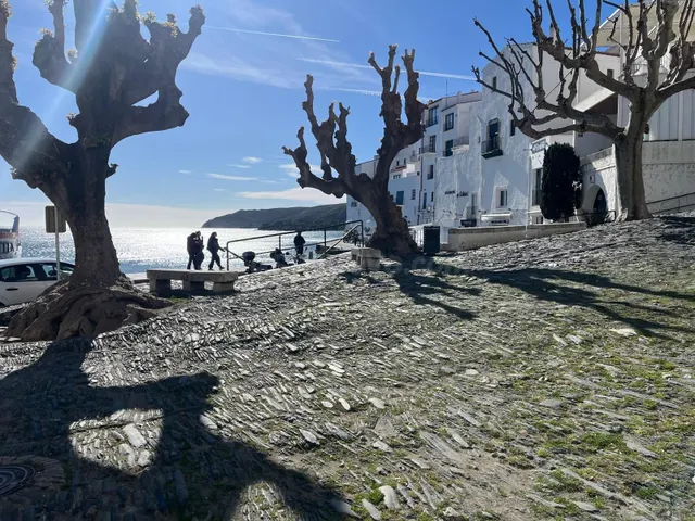 Caritat Serinyana CADAQUÉS - foto 3