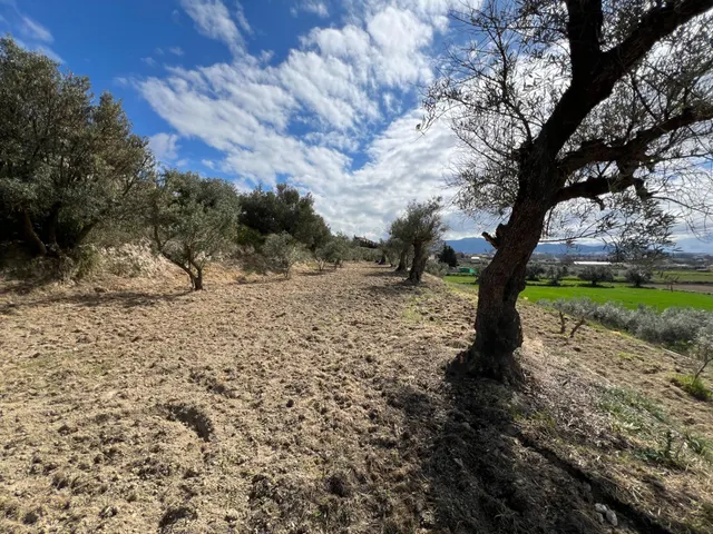 Un rincón de paz y futuro en Alhendín (SOLAR URBANIZABLE) — 17
