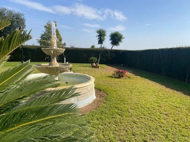 ZONA LA GORGOJA - Parcela de terreno de 2.250 m2 con casa de - foto 4