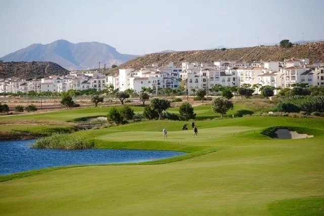 Planta baja 2 habitaciones 75m² en venta - SUCINA — 19