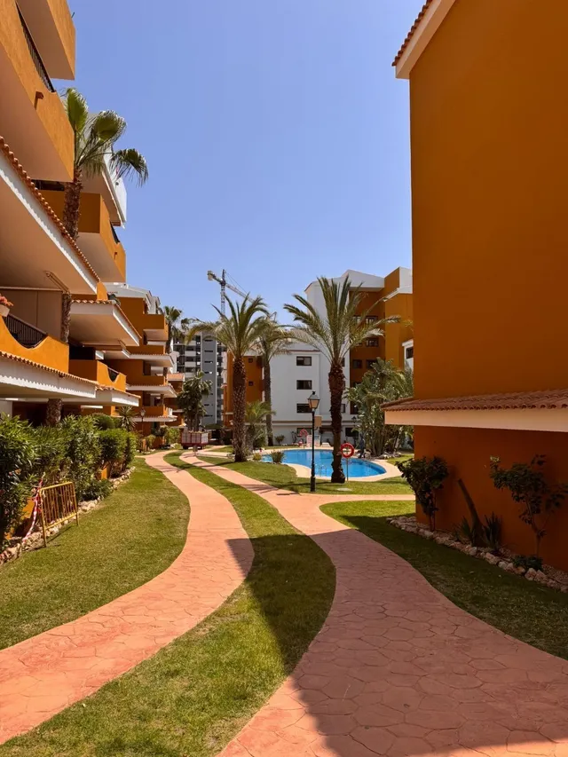 Apartamento con piscina comunitaria, Alicante, Torrevieja. 2 habitaciones, 80 m2, 500 metros del mar — 33