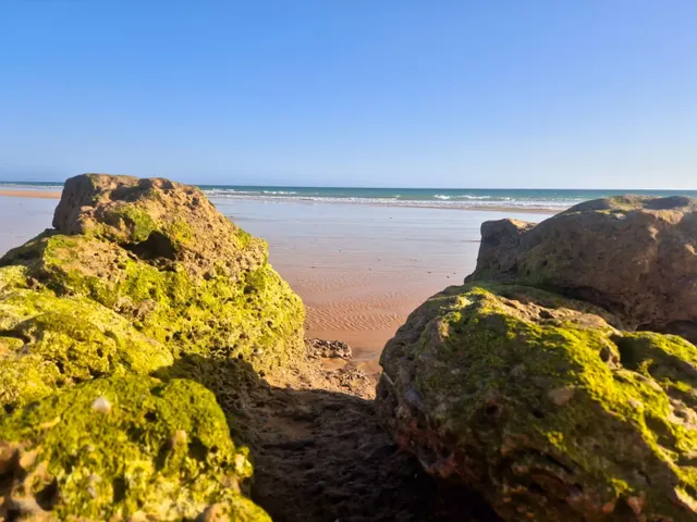 Tu refugio entre Vejer y el Atlántico — 17