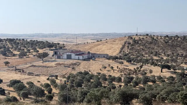 Finca rústica de 656 ha en Puebla de Guzmán (Huelva) — 18