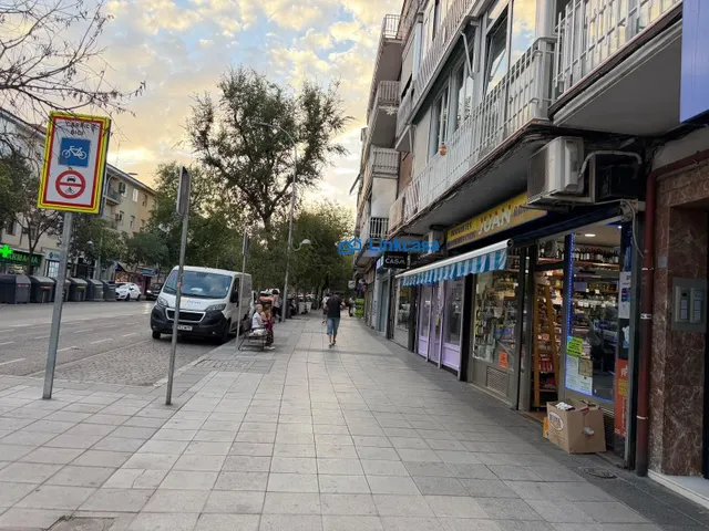 LOCAL COMERCIAL EN OPAÑEL — 27