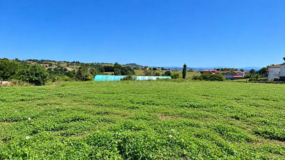 TERRENO URBANO DE 4.021 m2 EN REOCÍN – EXCELENTE OPORTUNIDAD PARA PROMOTORES E INVERSORES.-
