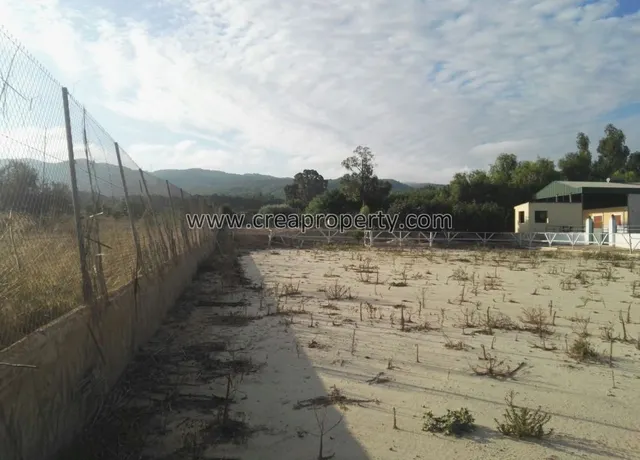 Excelente Finca con caballerizas en El Palmar (Murcia) — 48