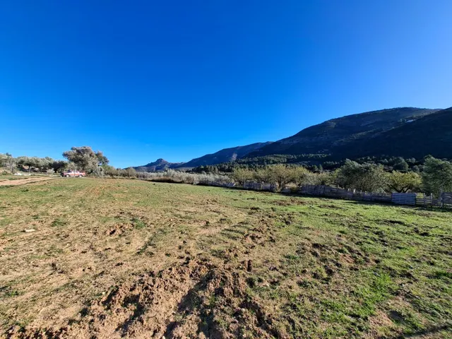 Parcela rústica de 10.400 m2 ubicada en Benigembla — 6