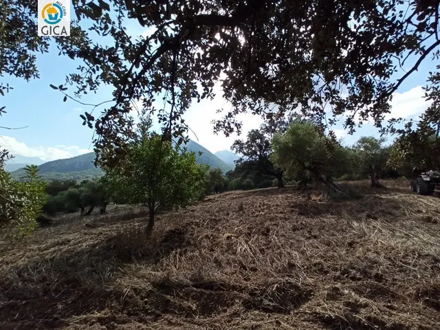 CASA CON PARCELA  EN LA SIERRA DE CADIZ -EL BOSQUE — 44