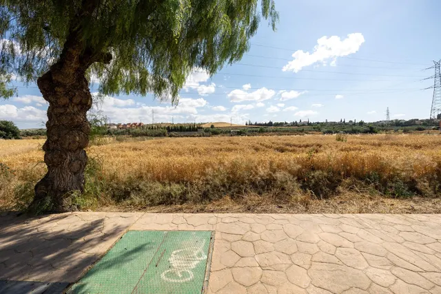 Parcela de 5000 metros junto al mercadona de Hijar — 12