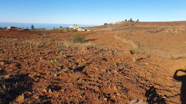 SE VENDE VIÑEDO EN VILAFLOR - foto 5