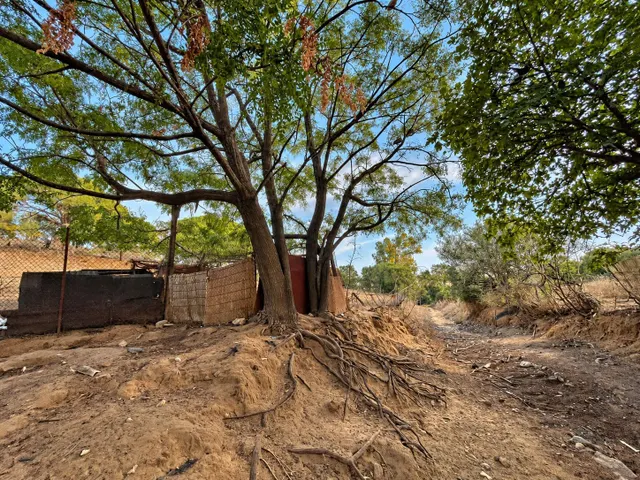 Finca rústica de 18.444 m2 con pozo y construcción catastrada en Alcalá de los Gazule — 19