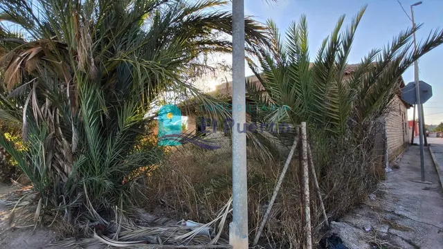 CHALET EN CONSTRUCCIÓN EN CUEVAS DE REYLLO – REF. 1000 - foto 4
