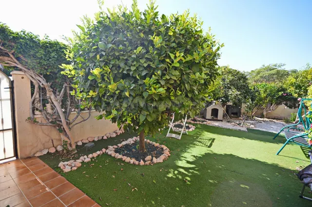 MAGNIFICA VIVIENDA EN PLANTA BAJA CON GRAN TERRAZA Y PISCINA COMUNITARIA — 2