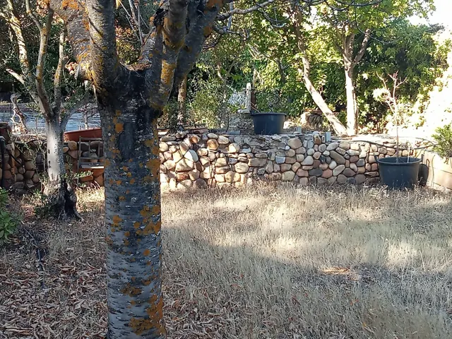 Chalet independiente de una sola planta con parcela llana de 955 m2 en una de las mejores zonas de la urbanización Nueva Sierra. — 27