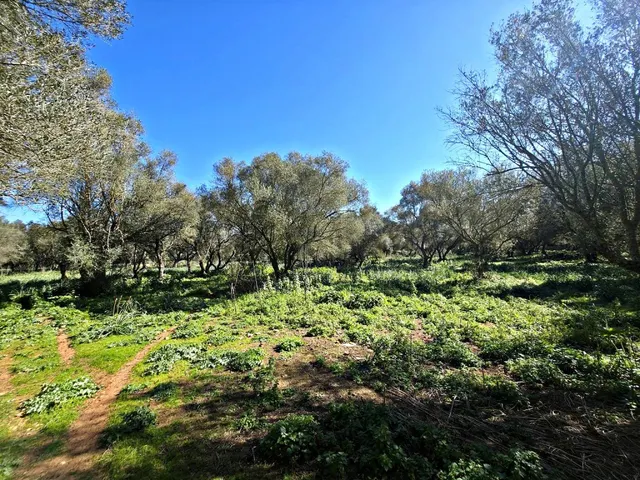 Solar residencial en Venta en Felanitx Baleares — 21