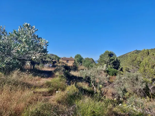 Casa de campo con proyecto para la construcción de una vivienda de 143m2 — 5