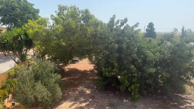 CASA DE CAMPO EN CORVERA CON 5.400 M2 DE PARCELA — 32