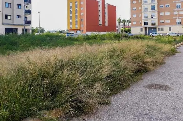 Terreno residencial en c/ Sant Jaume de Carlet - foto 5