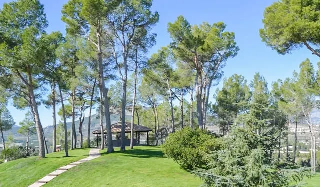 Villa 7 habitaciones 1529m² en venta - Comunidad valenciana — 43